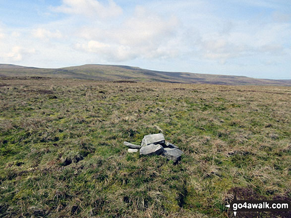 Walk c293 Cross Fell and Great Dun Fell from Garrigill - Cairn on the summit of Long Man Hill