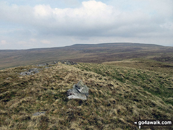 Tinside Rigg summit cairn 