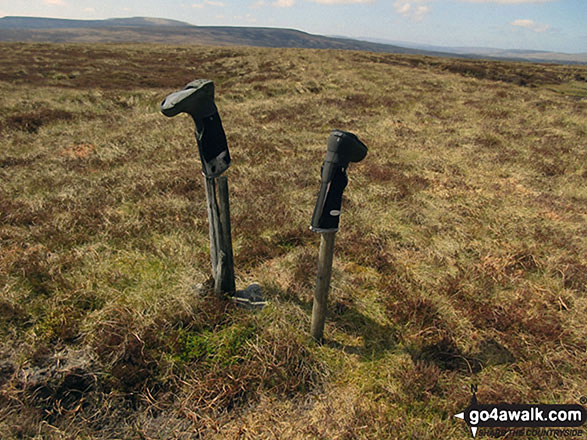 Walk du126 Bink Moss from Holwick - Bink Moss summit complete with Wellies