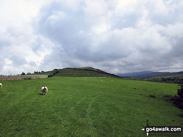 Walk c457 Watch Hill (Cockermouth) and Setmurthy Common (Watch Hill) from Cockermouth - The grassy path up Watch Hill (Cockermouth)