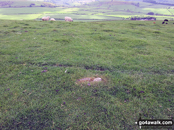 Small pile of stones which seem to mark the highest point on Watch Hill (Cockermouth)