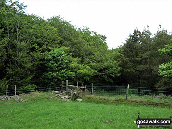 The summit of Setmurthy Common (Watch Hill)