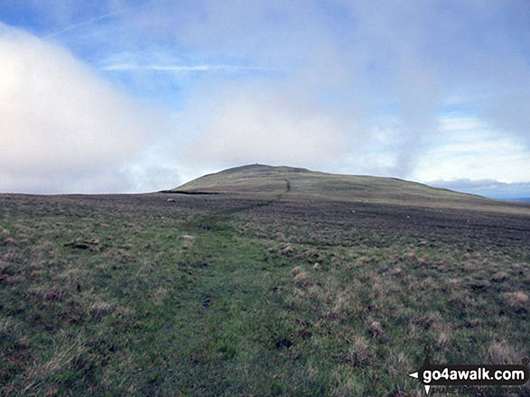 Whitfell (Whit Fell) summit appears out of the mist