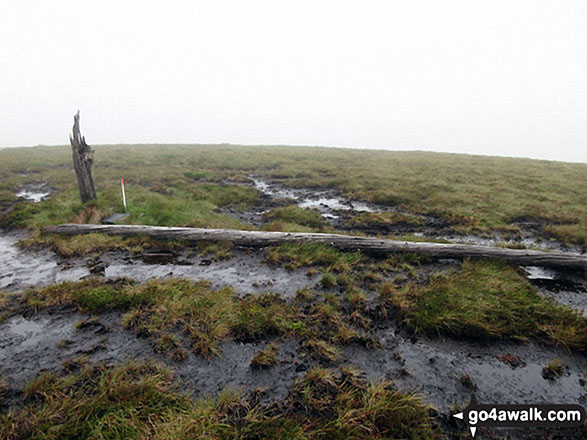 Walk du116 The Dodd and Killhope Law from Killhope Cross - What's left of the 40ft pole on the summit of Killhope Law