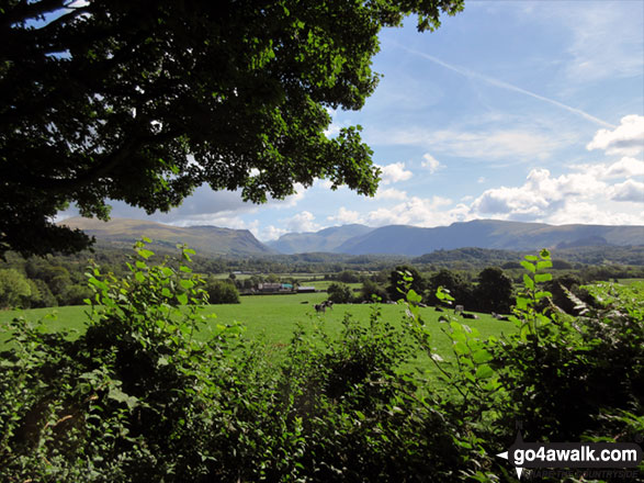 View from the approach to Ponsonby Fell through Blengdale Forest