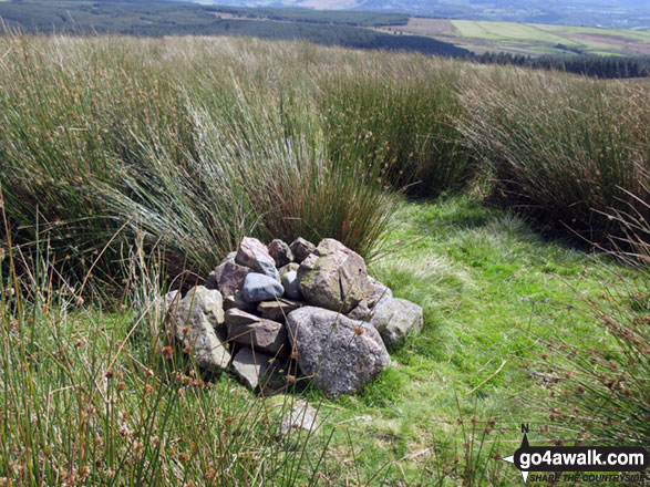 Ponsonby Fell summit cairn almost hidden in long grass 