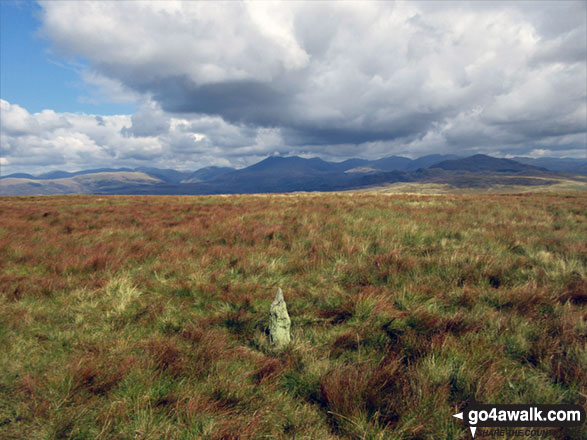 Hesk Fell (Ulpha Fell) summit