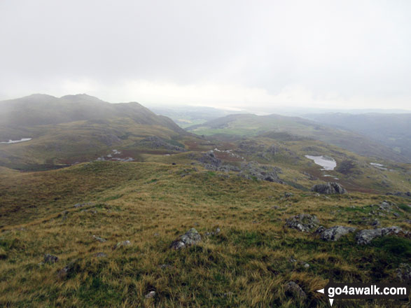 Tarns on the top of Tarn Hill (Dunnerdale Fells) 