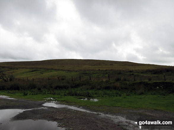 Cold Fell (Cleator Moor) from Flat Fell 