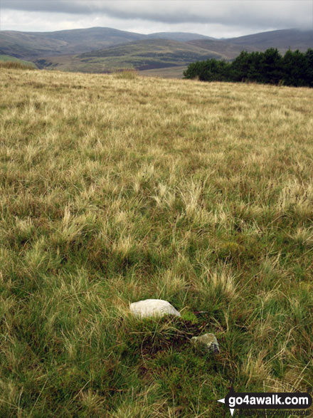 Flat Fell summit cairn 