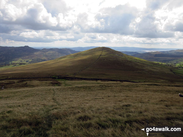 The Pike (Dunnerdale Fells) from Hesk Fell (Ulpha Fell) 