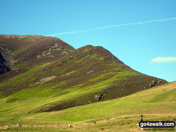 Walk c221 A Circuit of Crummock Water from Buttermere - Whin Ben (centre) and the Whiteside Ridge from Lanthwaite Green