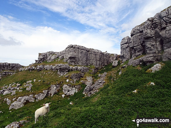 Attermire Scar 