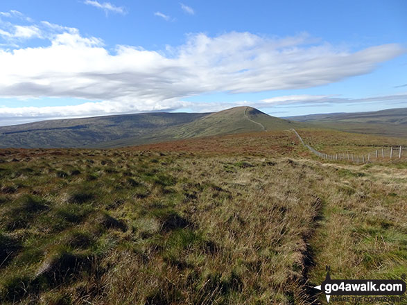 Walk ny117 Little Whernside and Great Whernside from Scar House Reservoir, Nidderdale - The path from Little Whernside to Great Whernside