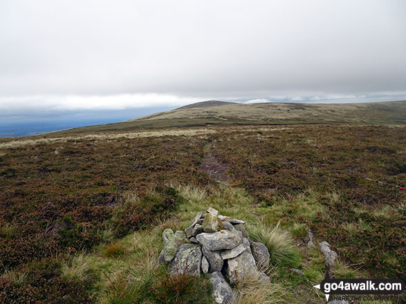 Walk c106 Carrock Fell and High Pike (Caldbeck) from Mosedale - Great Lingy Hill Summit with Miller Moss in the distance