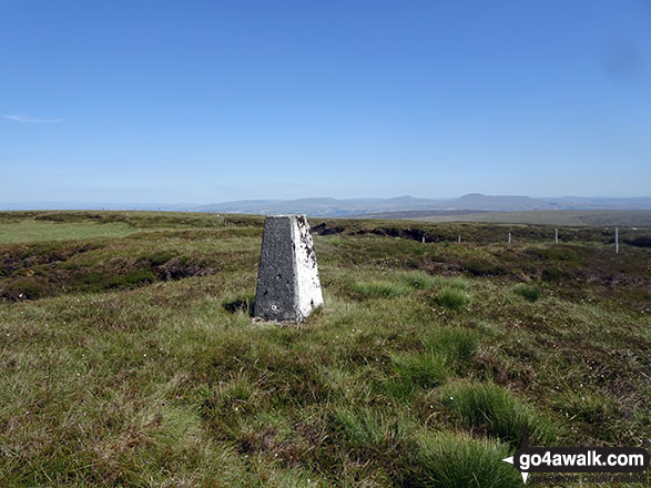 White Hill (Forest of Bowland) summit trig point