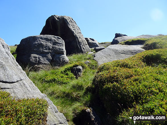 Rock formations on Lad Law (Boulsworth Hill) 