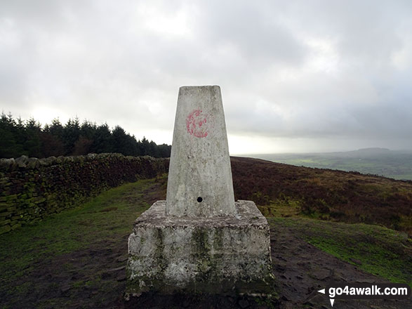 Walk l126  Longridge Fell (Spire Hill) from Jeffrey Hill - Longridge Fell (Spire Hill) summit Trig-Point