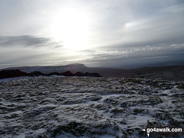 Pen-y-ghent from the beacon on High Green Field Knott (Cosh Knott)