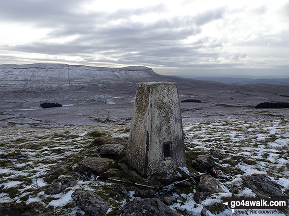 The trig point on High Green Field Knott (Cosh Knott)