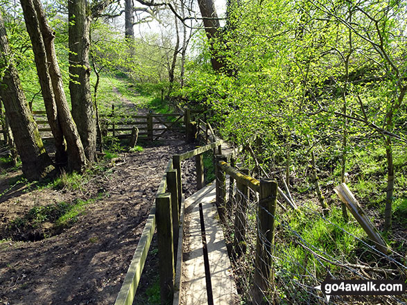 Crossing Upper Hurst Brook on the way back to Hathersage 