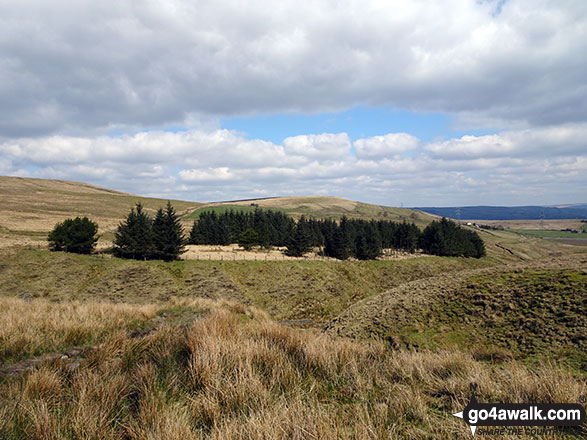 Walk gm116 Round Hill, Freeholds Top and Brown Wardle Hill from Watergrove Reservior - Descent from Rough Hill (Shore Moor) before the climb to Freeholds Top.