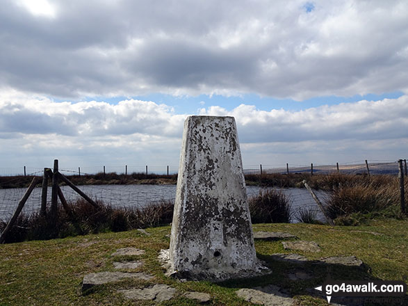 Freeholds Top summit Trig Point with its small pool 