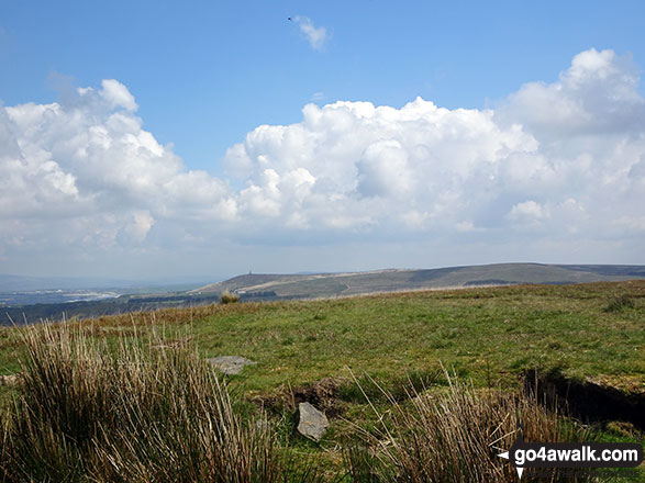 Jubilee Tower on Darwen Hill (Darwen Moor) from the summit fo Great Hill 