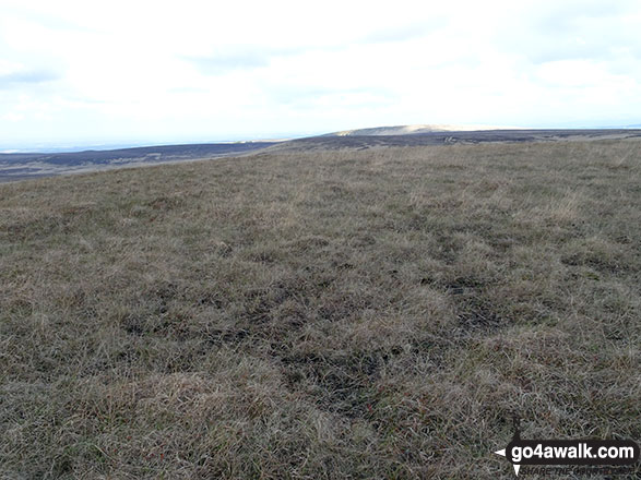 The unmarked grassy summit of Spitlers Edge