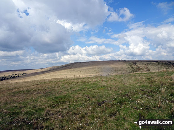 Looking back to Spitlers Edge from Horden Pasture 