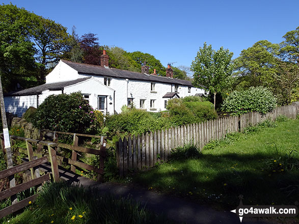 Cottages in White Coppice 