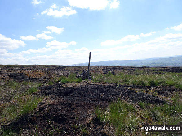 The small cairn with a pole in it near the summit of Windgate Edge 