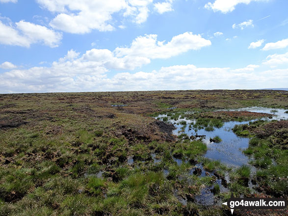 Walk d213 Black Chew Head (Laddow Rocks) and The Longdenden Trail from Hadfield - Bog on Featherbed Moss (Chew Reservoir)