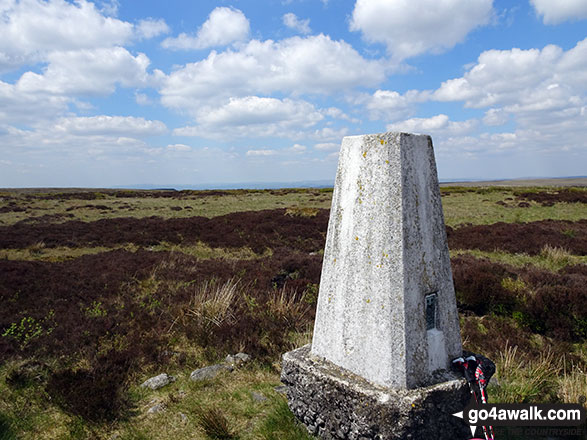 Walk d213 Black Chew Head (Laddow Rocks) and The Longdenden Trail from Hadfield - Featherbed Moss (Chew Reservoir) Summit Trig Point