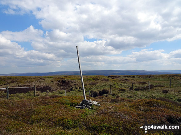 Walk d213 Black Chew Head (Laddow Rocks) and The Longdenden Trail from Hadfield - Black Chew Head (Laddow Rocks) summit cairn and pole