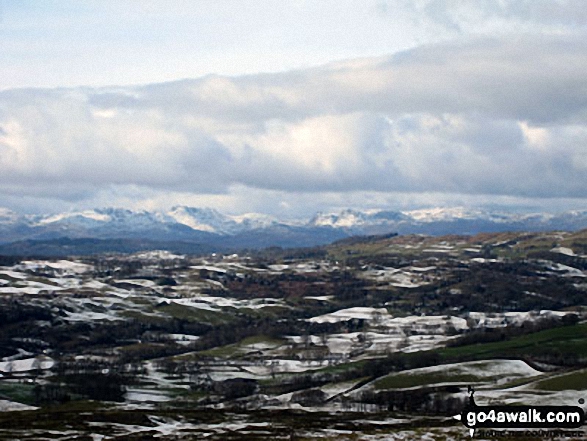 Walk c495 Cunswick Scar and Scout Scar from Underbarrow - View from Scout Scar (Barrowfield)