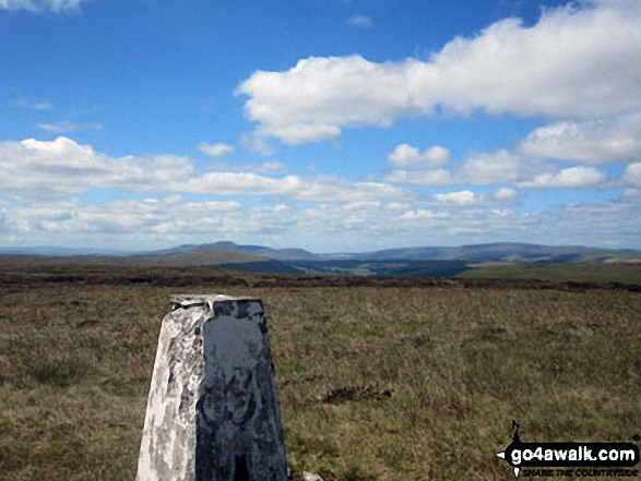 Walk ny207 Yockenthwaite Moor from Buckden - Yockenthwaite Moor summit Trig Point