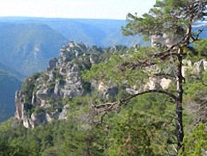 Walking in Averyon, France - Rock outcrops and pine forest