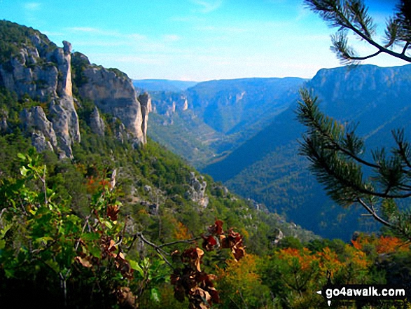 The view eastwards along the Gorge de la Jonte 