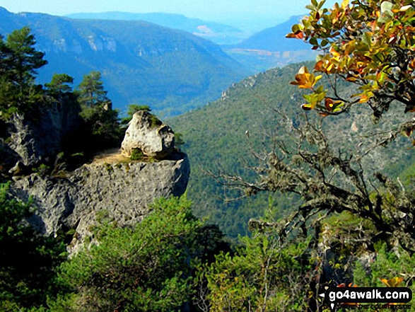 View from the causse noir north westwards across the Gorge de la Jonte 