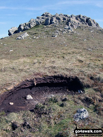 Moel Llyfnant summit 