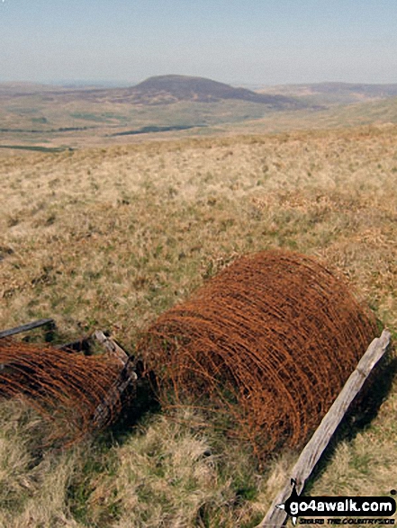 Arenig Fach from a rusting fence roll on the lower slopes of Moel Llyfnant 