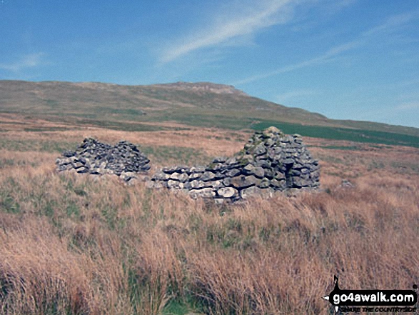 Ruin on the lower slopes of Moel Llyfnant