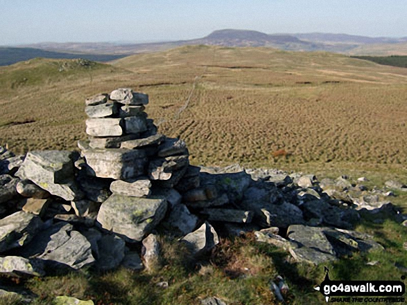 Walk gw133 Arenig Fawr (Moel Yr Eglwys), Moel Llyfnant and Gallt yDaren via the NW Ridge  from Pont Rhyd-y-Fen - Bwlch y Bi summit with Arenig Fach in the distance