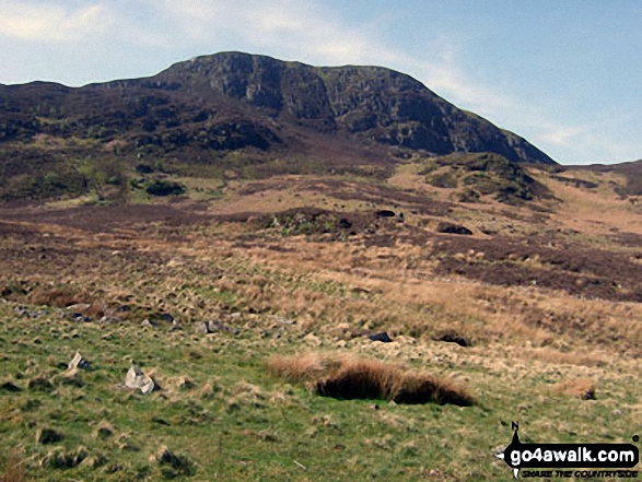 Walk gw138 Arenig Fawr (Moel Yr Eglwys) via Llyn Arenig Fawr from Pont Rhyd-y-Fen - Arenig Fawr from near Pant-yr-Hedydd