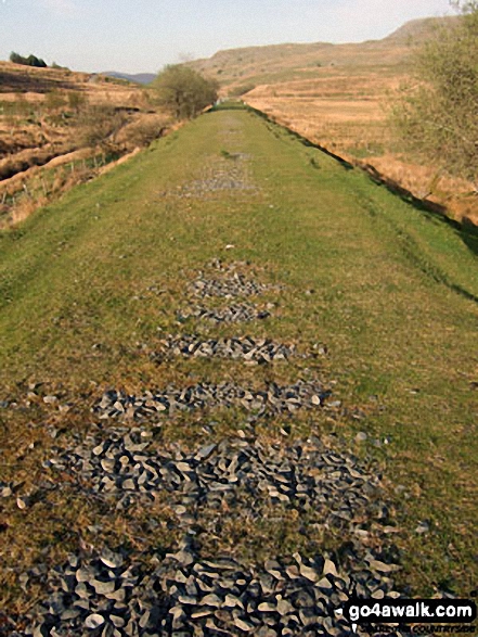 Walk gw133 Arenig Fawr (Moel Yr Eglwys), Moel Llyfnant and Gallt yDaren via the NW Ridge  from Pont Rhyd-y-Fen - Heading back to the car along a former railway line across Dol Benlas