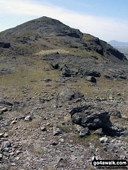 Walk gw138 Arenig Fawr (Moel Yr Eglwys) via Llyn Arenig Fawr from Pont Rhyd-y-Fen - Finally approaching the Arenig Fawr (Moel Yr Eglwys) summit