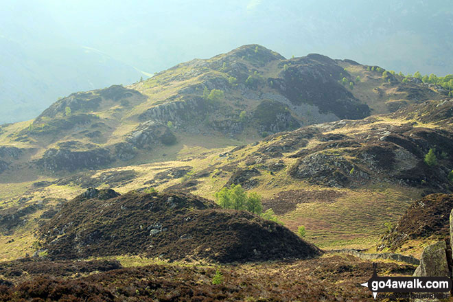 Walk c143 Brund Fell and King's How from Rosthwaite - King's How from Grange Fell (Brund Fell)