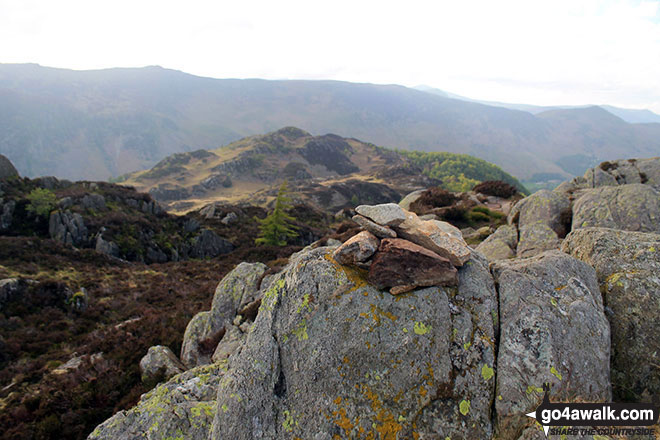 Walk c143 Brund Fell and King's How from Rosthwaite - Tiny cairn on Grange Fell (Brund Fell)