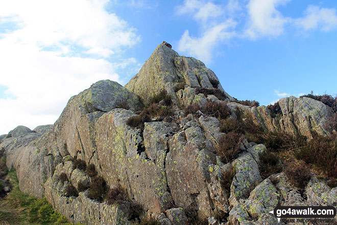 Walk c143 Brund Fell and King's How from Rosthwaite - Grange Fell (Brund Fell)